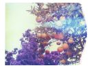 Purples + Oranges | Photography by She Hit Pause. Item made of paper