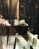 New York 54 – Mixed Media Cityscape Painting | Paintings by Dario Moschetta