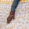 Koloman Moser Quilt | Linens & Bedding by CQC LA. Item made of cotton