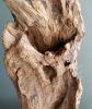 Driftwood Sculpture "Cultured" | Sculptures by Sculptured By Nature  By John Walker. Item composed of wood in minimalism style