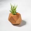 GEORGIA Cherry Air Plant Holder | Planter in Vases & Vessels by Untitled_Co