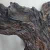 Large Driftwood Sculpture "Arboreous Capote" | Sculptures by Sculptured By Nature  By John Walker. Item composed of wood compatible with minimalism style