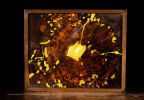 LichenIt - Wood and Resin decorative lighting display | Mixed Media by Scott Williams - Unique Originals