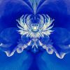 Steamy Peony - 7 Versions | Photography by Joanie Landau