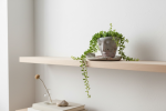 Viridian Bustier Basin Set | Planter in Vases & Vessels by RAW & UNIQ