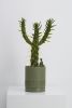 Etch Planter | Vases & Vessels by Capra Designs