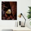 Photograph • Vacancy, Snail Shell, PNW, Oregon, Macro | Photography by Honeycomb. Item composed of metal and paper in boho style