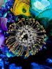 Nature's Pincushion | Photography by Joanie Landau. Item made of paper