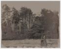 Forest View | Photography by Louise O'Gorman