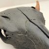 Bison Skull - Black | Wall Sculpture in Wall Hangings by Farmhaus + Co.. Item made of wood