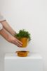 Spring Planter | Vases & Vessels by Capra Designs