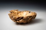 Buckeye Burl Bowl | Decorative Bowl in Decorative Objects by Louis Wallach Designs. Item composed of wood