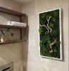 Plant Wall Art Moss and Fern Sculpture, Dimensional Painting | Living Wall in Plants & Landscape by Sarah Montgomery