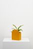 Sol Planter | Vases & Vessels by Capra Designs