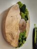 Wood Moss Art Clock | Decorative Objects by Carlberg Design