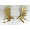 Moose Antler Wall Mounts | Wall Sculpture in Wall Hangings by Farmhaus + Co.. Item composed of wood
