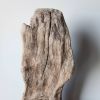 Rustic Driftwood Art Sculpture "Platypus Bust" | Sculptures by Sculptured By Nature  By John Walker. Item made of wood compatible with minimalism style