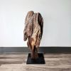 Driftwood Art Sculpture "Contour Cranium" | Sculptures by Sculptured By Nature  By John Walker. Item made of wood works with minimalism style