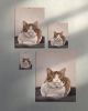 Tabby Cat Art Print, Montreal Corner Store, Urban Animal Painting, Fine Art Paper | Prints in Paintings by The Ugly Cat Studio