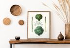 Vintage Farmhouse Kitchen Art with vegetables, Artichoke and | Prints by Capricorn Press. Item composed of paper in boho or minimalism style