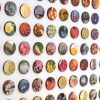 Meadow | Collage in Paintings by Amelia Coward