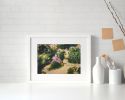 Photograph • Sea Star, Nature, Nautical, Oregon Coast | Photography by Honeycomb. Item made of metal & paper compatible with coastal style
