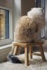 Little Stool | Chairs by ROOM-3. Item composed of wood