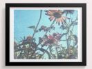 Leaning like flowers towards sunlight | Photography by She Hit Pause. Item made of paper