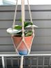 Macrame Plant Hanger | Plants & Landscape by Rosie the Wanderer. Item composed of cotton
