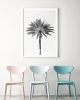 Minimalist black and white "Palm Tree" photography print | Photography by PappasBland. Item made of paper works with minimalism & contemporary style
