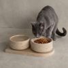 Travertine cat or dog double bowl set | Water Fixtures by AYMARBLEDESIGN LLC