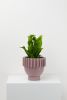 Solstice Planter | Vases & Vessels by Capra Designs