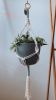Chunky Plant Hanger | Plants & Landscape by Rosie the Wanderer. Item composed of cotton