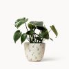 Tatas Planter | Vases & Vessels by Franca NYC. Item composed of ceramic compatible with boho and minimalism style