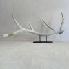Elk Antler Sculpture | Sculptures by Farmhaus + Co.. Item composed of wood