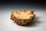 Buckeye Burl Bowl | Decorative Bowl in Decorative Objects by Louis Wallach Designs. Item composed of wood