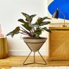 Huron 50 Large Mid Century Planter With Metal Stand | Vases & Vessels by Greenery Unlimited