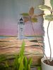 Harbor Light Sunrise Tapestry | Wall Hangings by Neon Dunes by Lily Keller
