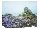 Flowers Dressed In Purple | Photography by She Hit Pause. Item composed of paper