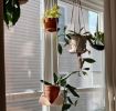 Double Leather Plant Hammock | Plant Hanger in Plants & Landscape by Keyaiira | leather + fiber | Artist Studio in Santa Rosa. Item made of cotton with leather