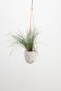 Terrazzo Hanging Planter | Vases & Vessels by Capra Designs