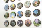 Arcadia | Collage in Paintings by Amelia Coward