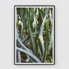 Large Modern Cactus Photograph on fine art paper, Cactus | Prints by Capricorn Press. Item made of paper works with boho & minimalism style