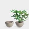 Milton 41 Large Planter | Vases & Vessels by Greenery Unlimited