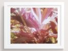 Colors You Can Taste (Costa Rica) | Photography by She Hit Pause. Item made of paper