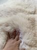 Double Sheepskin in Golden White (One-of-a-Kind) | Area Rug in Rugs by East Perry. Item made of fiber
