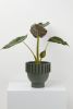 Solstice Planter | Vases & Vessels by Capra Designs