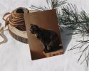 Jarousse | Prints by The Ugly Cat Studio