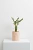 Etch Planter | Vases & Vessels by Capra Designs