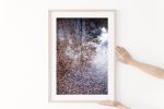 Contemporary natural decor, "Autumn Detritus" photograph | Photography by PappasBland. Item composed of paper in contemporary or country & farmhouse style